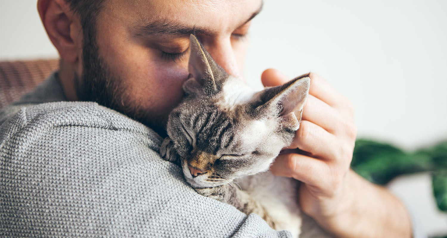 Bronchodilator for cats outlet
