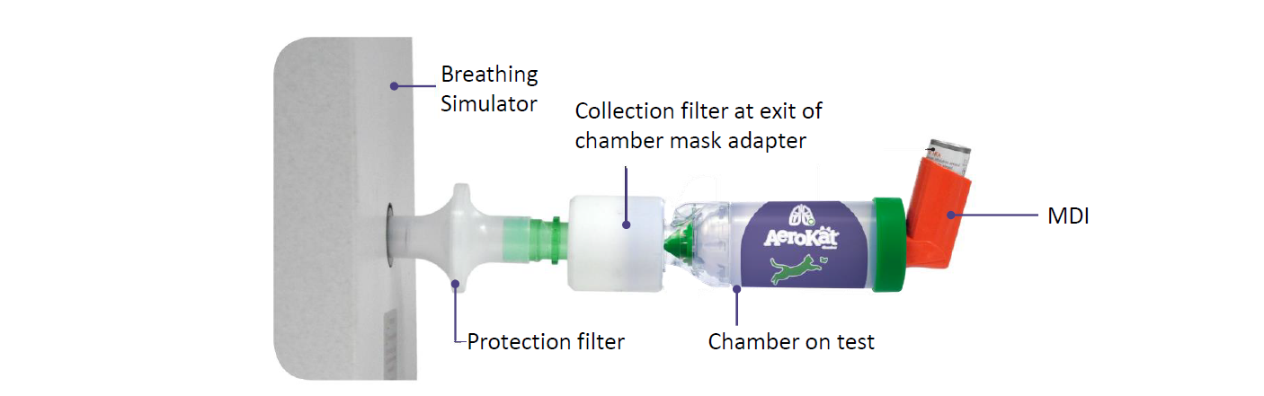 Clinical Setup