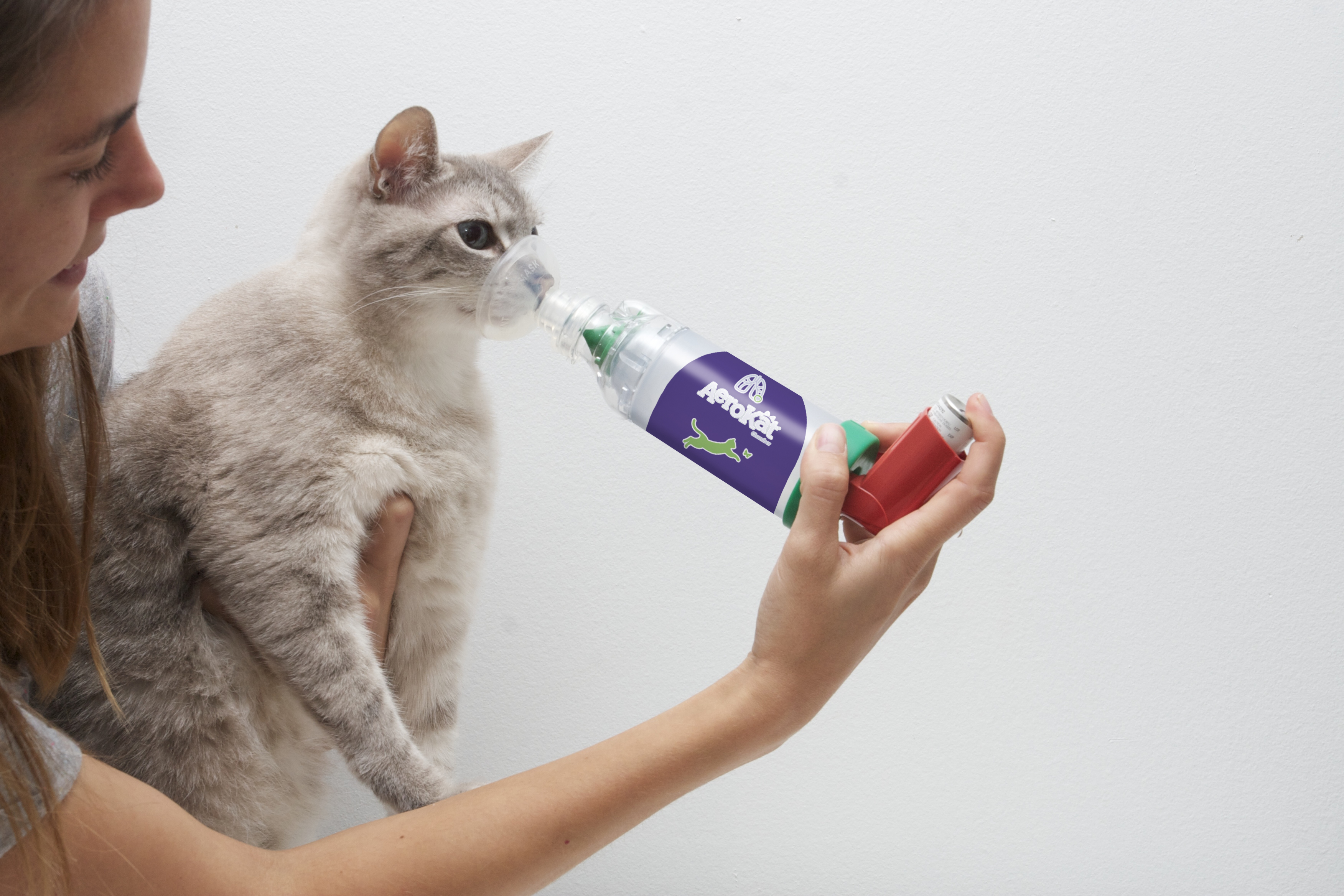 A pet owner delivering inhaled medication using AeroKat* chamber