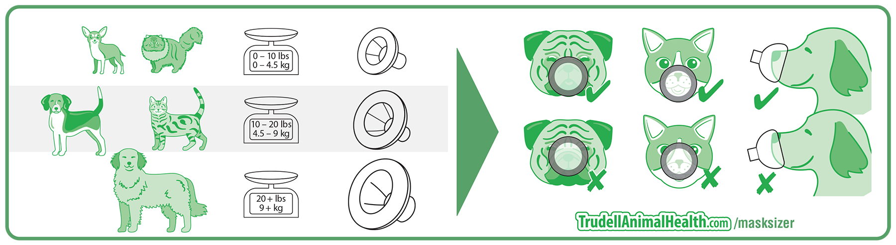 Mask Fitting Guide