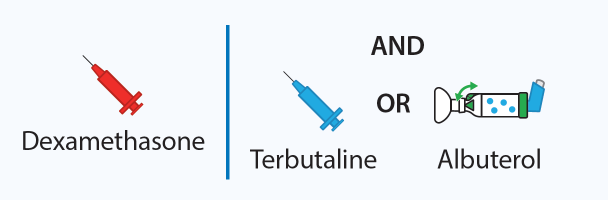 Medications for Step 1 Stop a Respiratory Attack