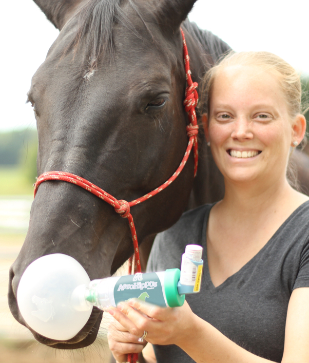 A caregiver administers AeroHippus* to a horse