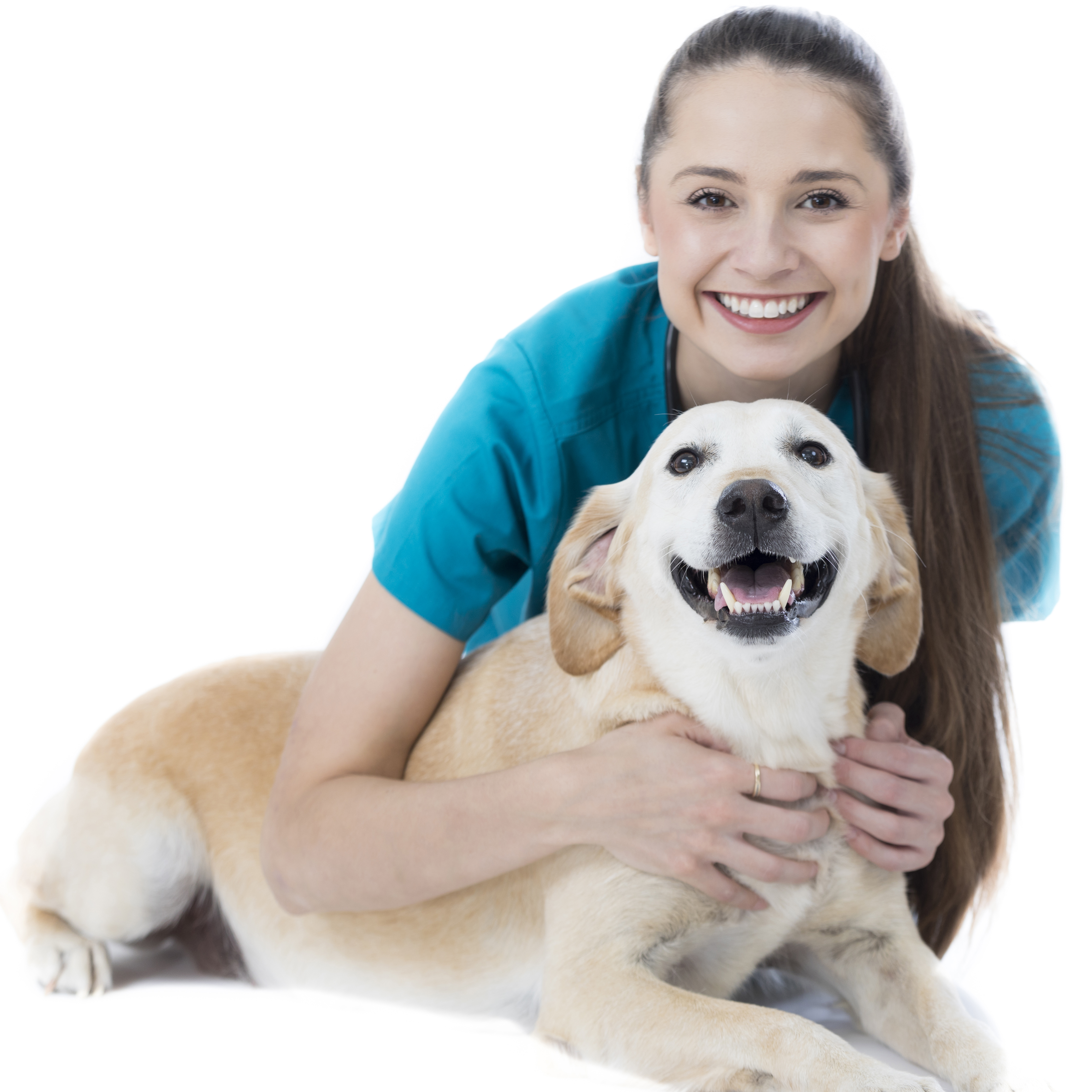 veterinarian and dog