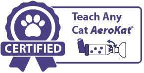 Teach Any Cat AeroKat*