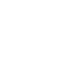 lung icon