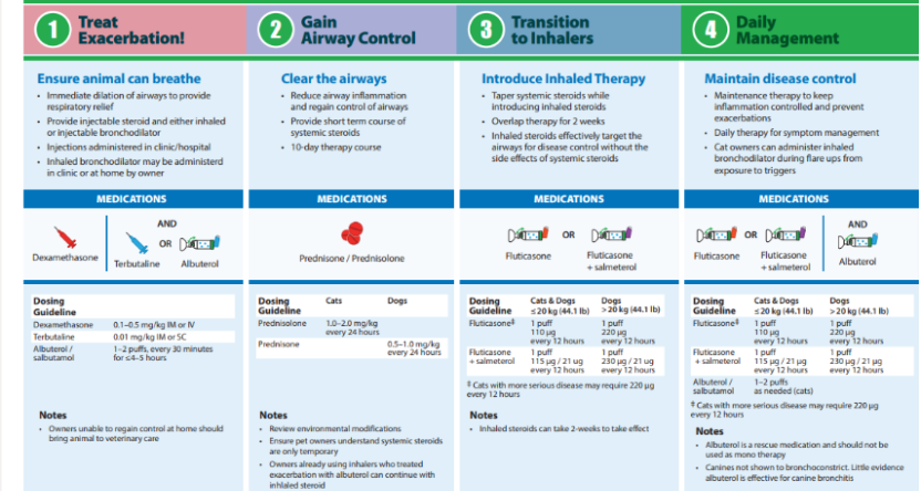 Treatment Path 