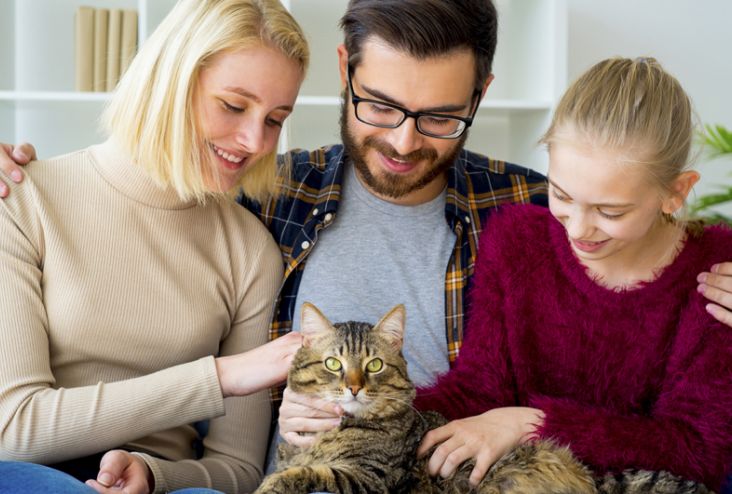 A family hold a cat