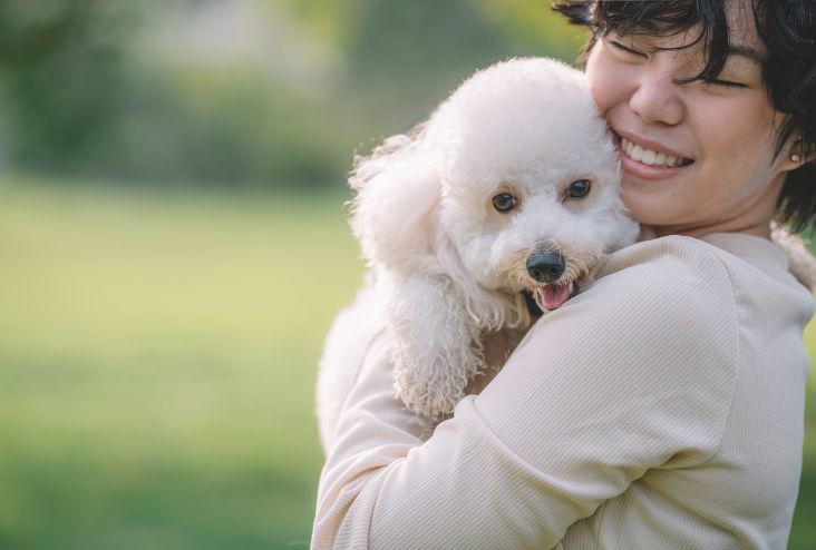 A teenager girl bonding time with her pet toy poodle in the public park