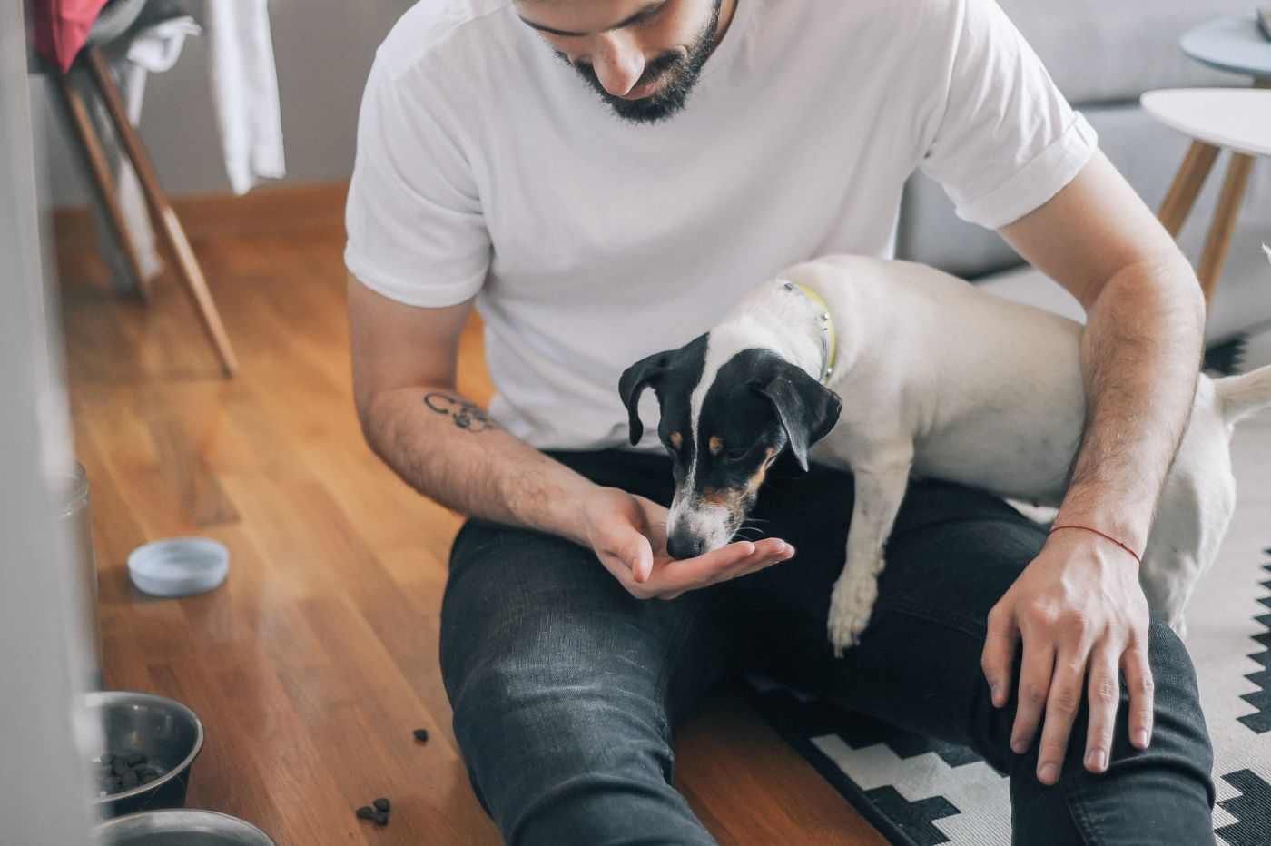 man-feeding-dog